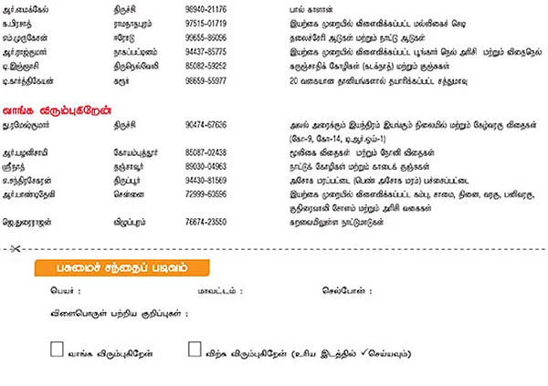 பசுமை சந்தை