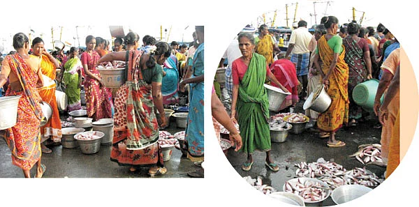 பழையாறு மீனோய்ய்ய்ய்...
