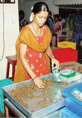 SME கைடுலைன்
