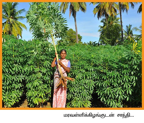 10 மாதங்களில் 1.5 லட்சம்
