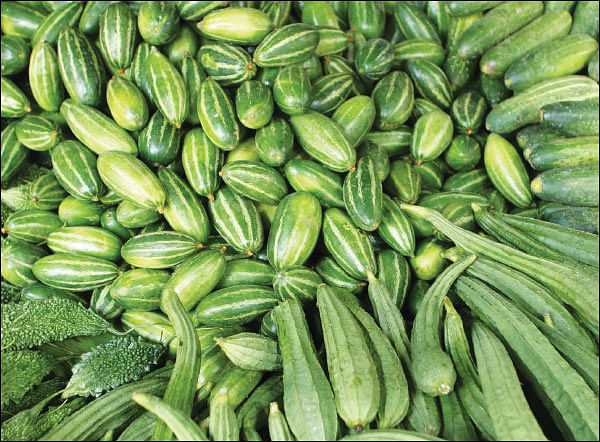 நல்லனவெல்லாம் தரும் நாட்டுக்காய்கறிகள்