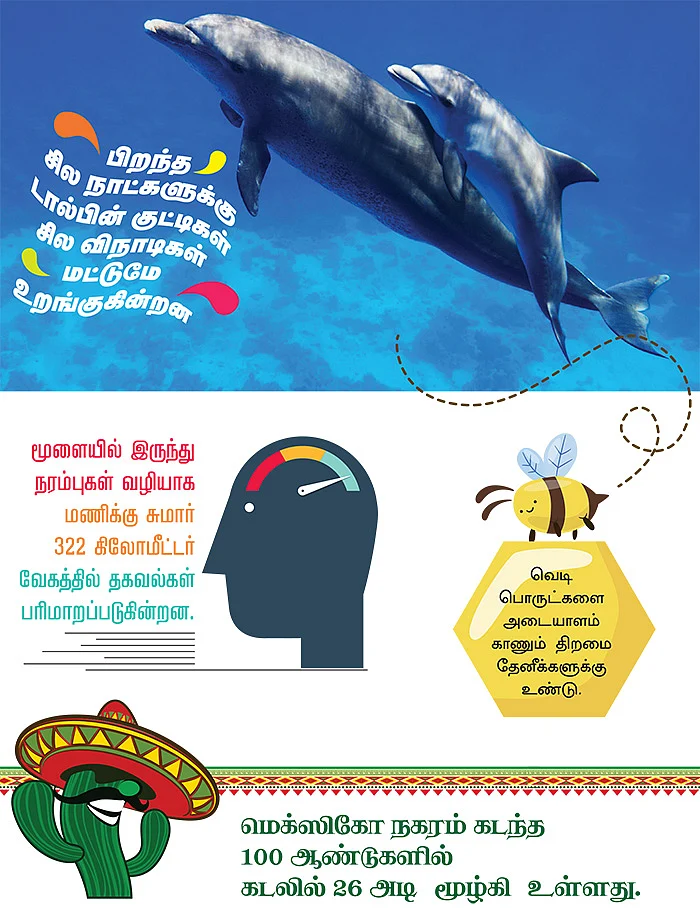 அறிவோம் 18