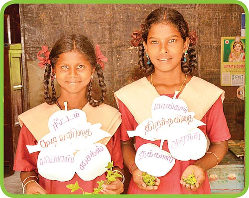 எஃப்.ஏ பக்கங்கள் - முதலாம் பருவம் ஆரம்பம்...