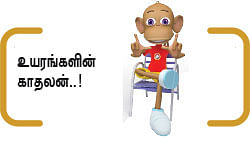 நம்பர் 1 நிக் வாலெண்டா - 30