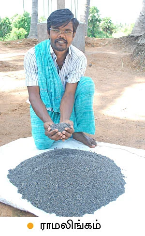 ஏக்கருக்கு 5 குவிண்டால் உளுந்து... ரூ 1 லட்சத்து 52 ஆயிரம் வருமானம்...