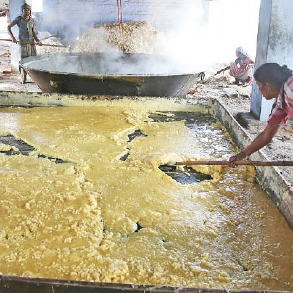 கூடுதல் லாபம் தரும் ‘சேலம்’ குண்டு வெல்லம்!