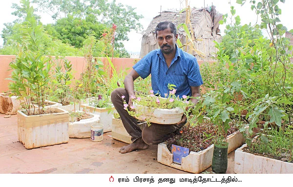 மாடித்தோட்டம்: தெர்மாகூல் பெட்டி... இனி மாடித்தோட்ட தொட்டி!