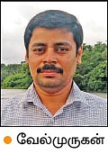 நீல் தீவு... - இந்தியாவின் முதல் இயற்கை விவசாயத் தீவு!