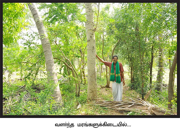 'இலந்தையைக் காப்பாற்றுங்கள்...'