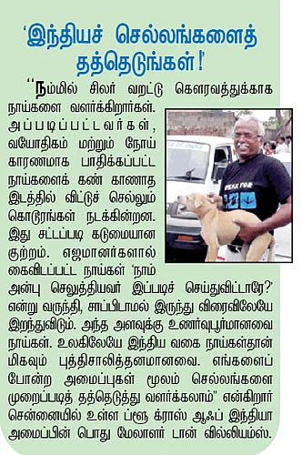செல்லம் வளர்க்கலாம் உள்ளம் மகிழலாம் !