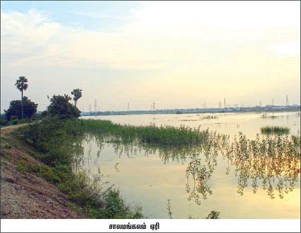 நிலம்... நீர்... நீதி! - ``ஏரிக்கரையை மட்டுமில்ல,  ஊரையும் காப்பாத்தியாச்சு!’’