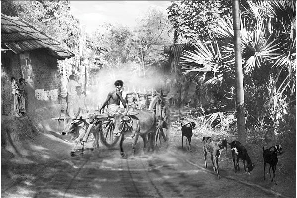 இருளில் பேரொளித் தருணங்களை உயிர்ப்பித்தவர்... - வெ.நீலகண்டன்