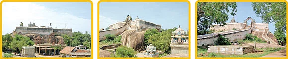 பௌர்ணமி தரிசனம்... மாம்பழம் சமர்ப்பணம்!