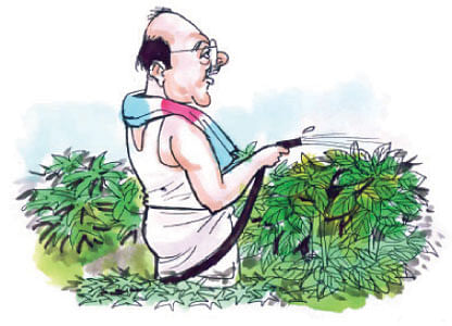 நெக்ஸ்ட்... ரெஸ்ட்!