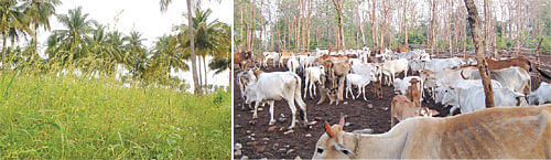 நீங்கள் கேட்டவை