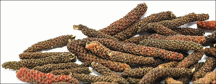 நோய்களைத் தடுக்கும் காவல்வீரன் - திப்பிலி