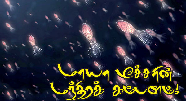 மாயா டீச்சரின் மந்திரக் கம்பளம் !