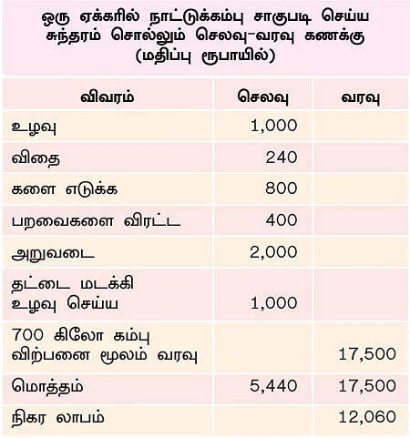 மானாவாரியில் மகத்தான விளைச்சல்... நட்டமில்லாத வருமானம் கொடுக்கும் நாட்டுக்கம்பு!
