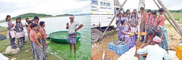 மீன்களும் நாங்களும்...