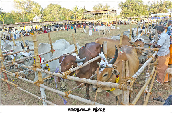 தமிழகம் இன்ஃபோ ஸ்பெஷல் #6 - கோவை 200 - இன்ஃபோ புக்