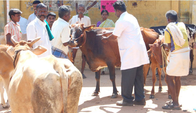 நீங்கள் கேட்டவை