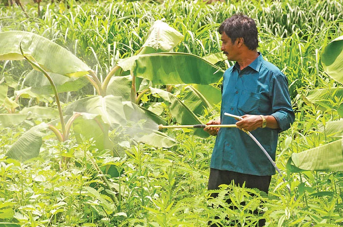 சின்னச் சின்ன நுண்ணுயிரிகள் பெரிய பெரிய லாபம்! உதவிக்கு வரும் உயிரியல் - 17