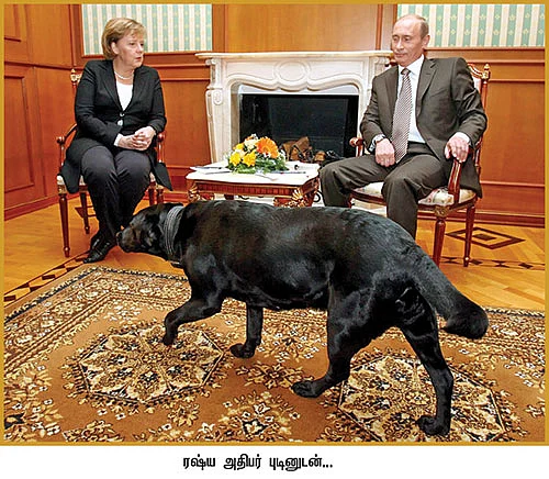 ஐரோப்பாவின் நம்பிக்கை!