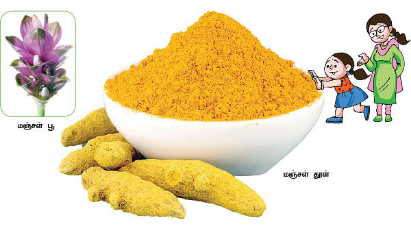 மாயா டீச்சரின் மந்திரக் கம்பளம்!