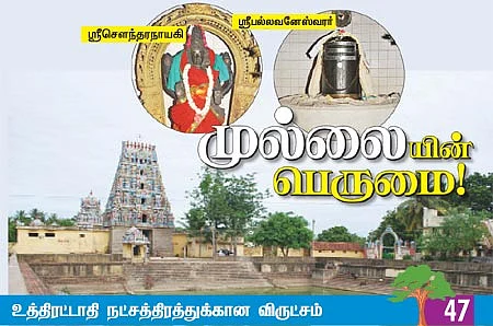 ஆரோக்கியம் அருளும் ஆலய விருட்சங்கள்!