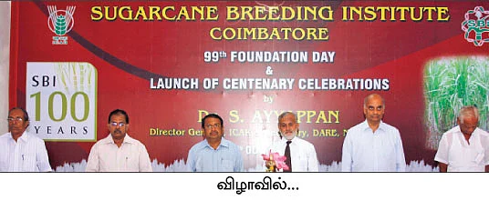 நாட்டு நடப்பு