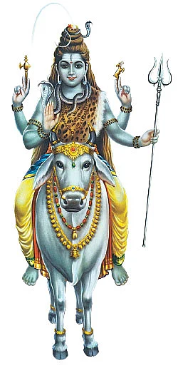 தீராத பாவத்தையும் தீர்க்கும் மஹா சிவராத்திரி...