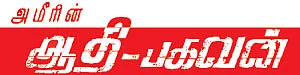 சினிமா விமர்சனம் - அமீரின் ஆதி-பகவன்