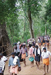 புனலூர் தாத்தா