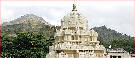 ஸ்ரீரமண மகரிஷி