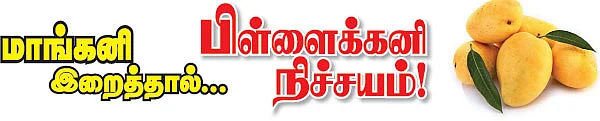 காரைக்கால் கனித் திருவிழா!