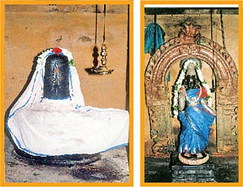 ஆரோக்கியம் அருளும் ஆலய விருட்சங்கள்!