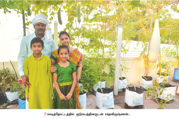 காய்கறிகள்... பழங்கள்... மூலிகைகள்... மாடியில் செழிக்கும் இயற்கைத் தோட்டம்!