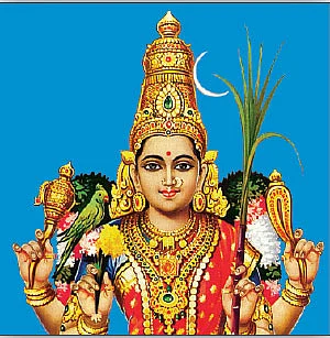 பிறந்த தேதி பலன்கள்!