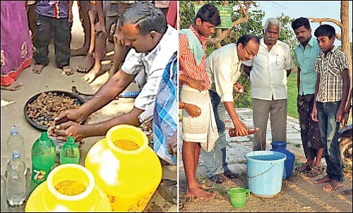 இயற்கை பூச்சி விரட்டி ‘இ.எம்-5’ - உதவிக்கு வரும் உயிரியல் - 14