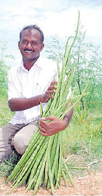 மதிப்புக்கூட்டும் மந்திரம்