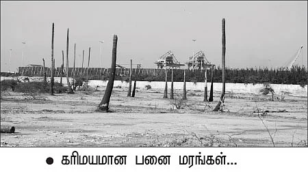 மீத்தேன் எமன் - பாலைவனமாகும் பரிதாப டெல்டா 18