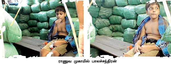 புலித்தடம் தேடி...