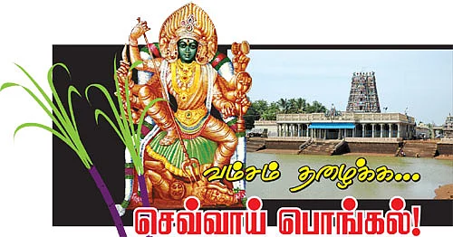 வம்சம் தழைக்க... செவ்வாய் பொங்கல்!