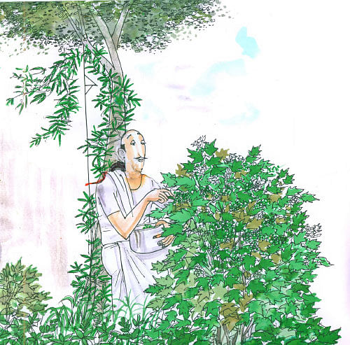 மண்புழு மன்னாரு: சுண்டைக்காய் கால் பணம்... சுமைக்கூலி முக்கால் பணத்தின் சூத்திரம்!