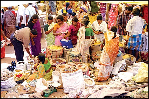 படுசல்லிசு விலையில் பலசரக்குத் திருவிழா!