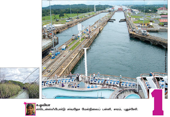 சுட்டி ஸ்டார்ஸ் நியூஸ்
