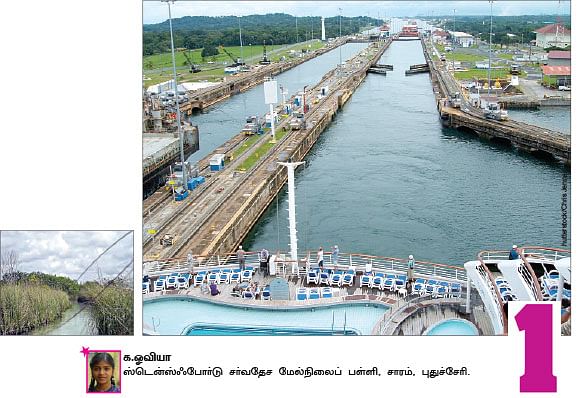 சுட்டி ஸ்டார்ஸ் நியூஸ் 