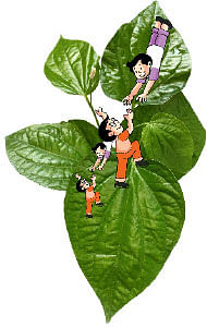 மாயா டீச்சரின் மந்திரக் கம்பளம்