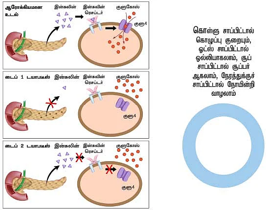 குட்பை டயாபடீஸ்!