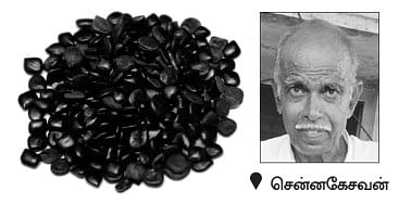 நீங்கள் கேட்டவை : புறா வளர்ப்பு... பலன் கொடுக்குமா?